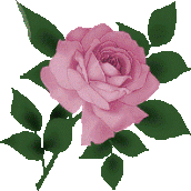 313295689s1DTSQ (172x172, 8Kb)
