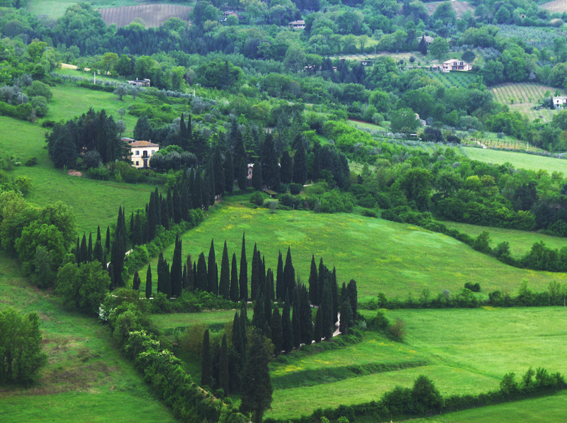 Умбрия италия. Умбрия Италия лес. Umbria Италия природа. Умбрия Паррана. Италия зелень.